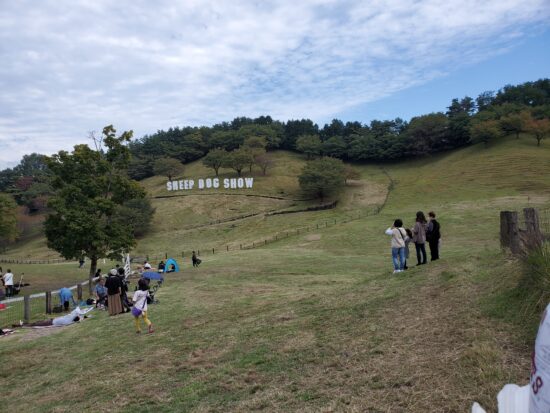 伊香保温泉