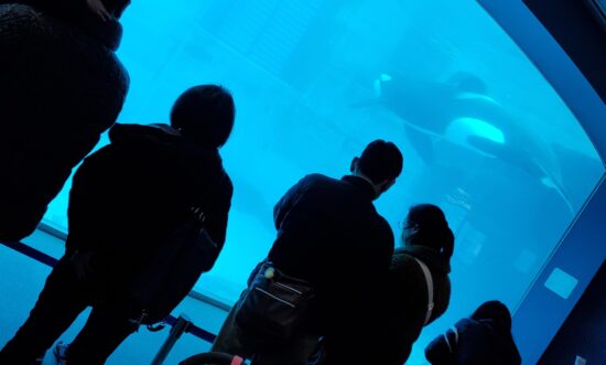 名古屋港水族館