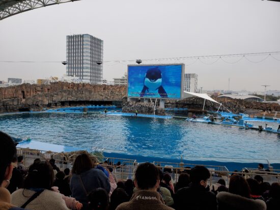 名古屋港水族館